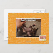 Engage den winzigen Angriffsmodus! Postkarte (Vorne/Hinten)