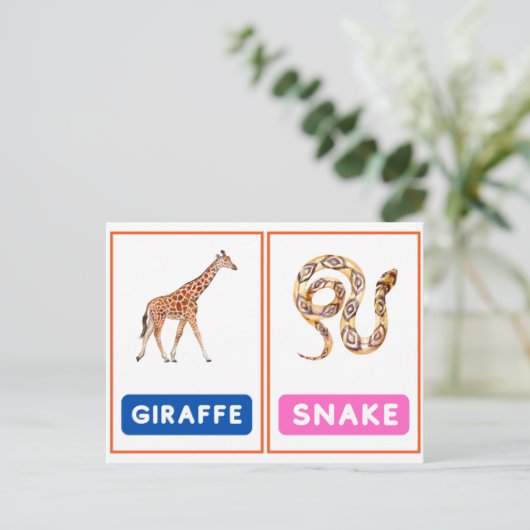 Engagierende Wildtier-Flashcards ,Panda,Koala,Schl Postkarte (Stehend Vorderseite)