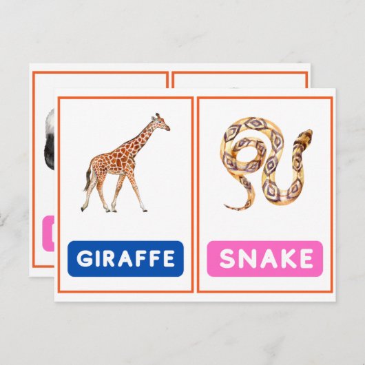 Engagierende Wildtier-Flashcards ,Panda,Koala,Schl Postkarte (Vorne/Hinten)
