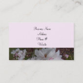 Enge Kirschblüten Visitenkarte (Rückseite)