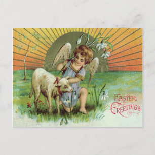 Engel Cherub Sonne Lamm Schaf Postkarte