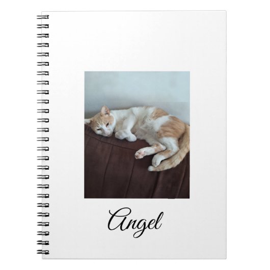 Engel das freche Katzen Notizbuch Notizblock (Vorderseite)