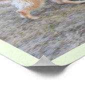 Engel der elsässische Hund Poster (Ecke)