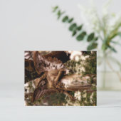 Engel des Highgate Postkarte (Stehend Vorderseite)
