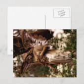 Engel des Highgate Postkarte (Vorne/Hinten)