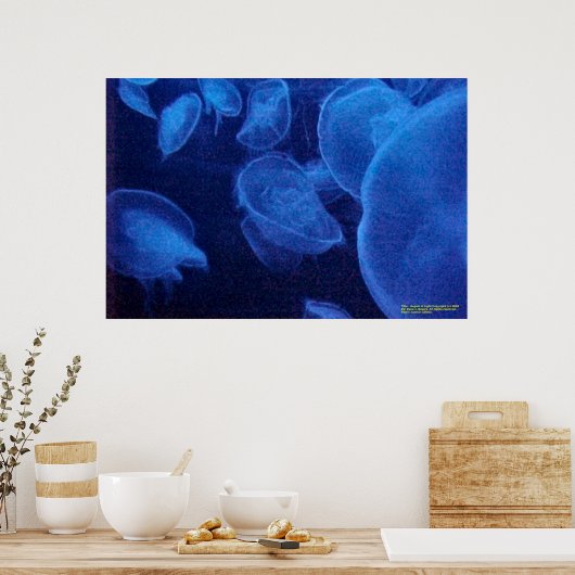 Engel des Lichts Poster (Küche)