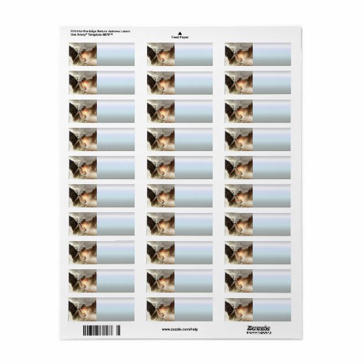 Engel des Unglücks (Vorne)