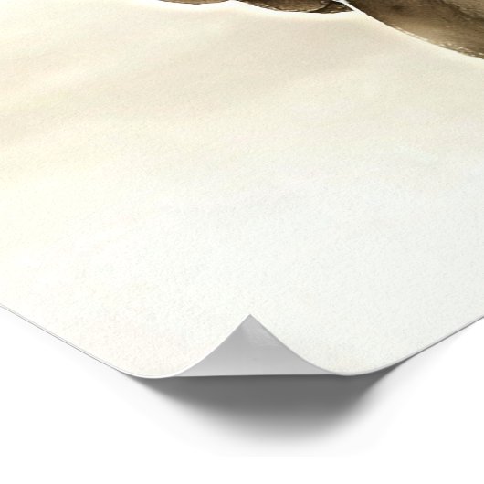 Engel des Unglücks Poster (Ecke)