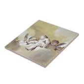 Engel Fliese (Seite)