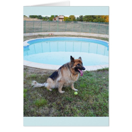 Engel Hund sitzend mit Kugel (Vorne)