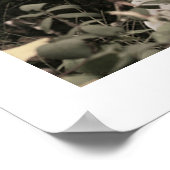 Engel in Segen 16x20 Poster mit Edge (Ecke)