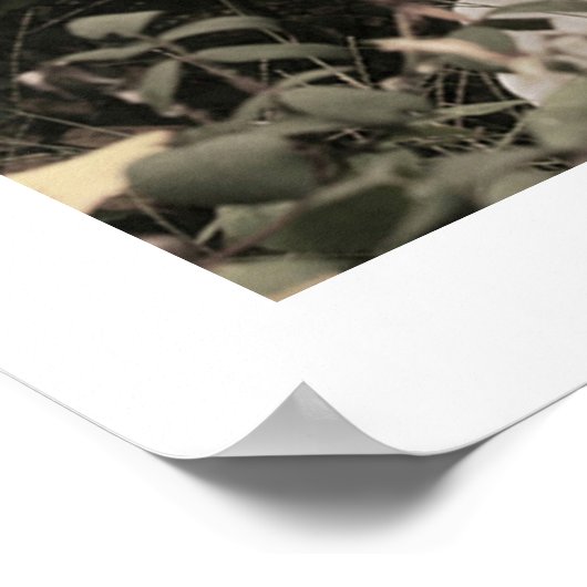 Engel in Segen 16x20 Poster mit Edge (Ecke)