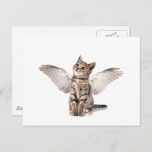 Engel Kitty Postkarte (Vorne/Hinten)
