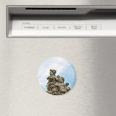 Engel Magnet (In Situ (Geschirrspüler))