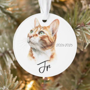 Engel mit Schwänzen – Erinnerungsstück für verstor Ornament