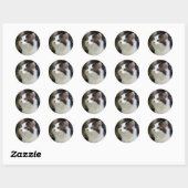 Engel mit Whiskers (Kätzchen) Stickers (Blatt)