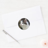 Engel mit Whiskers (Kätzchen) Stickers (Umschlag)