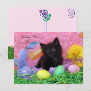 Engel the Kitten's Osterwünsche Postkarte