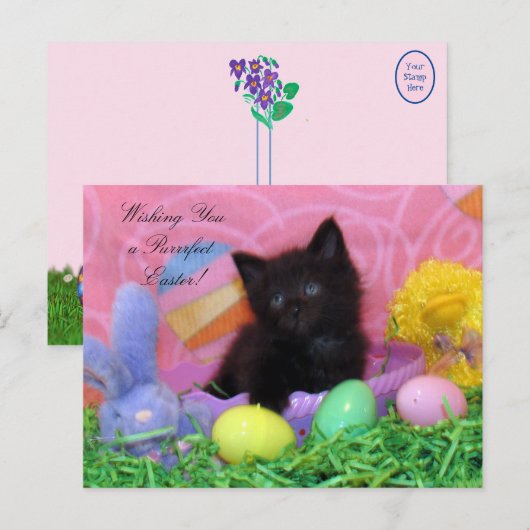 Engel the Kitten's Osterwünsche Postkarte (Vorne/Hinten)