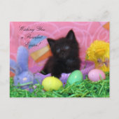 Engel the Kitten's Osterwünsche Postkarte (Vorderseite)