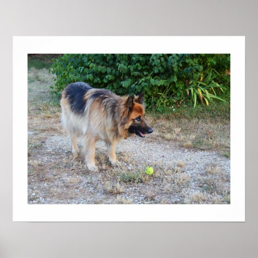 Engel und Ball Poster (Vorne)