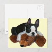 Engel und Bär Postkarte (Vorne/Hinten)
