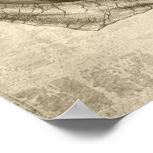 Engel und Dämonen - Überlegungen Poster (Ecke)