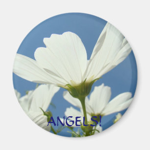 Engel! Weiße Gänseblümchen-Flügel-Magnete Gänseblü Magnet