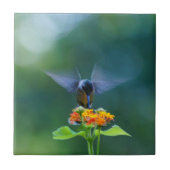 Engel Wings Kolibri Fliese (Vorderseite)