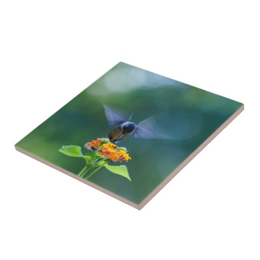 Engel Wings Kolibri Fliese (Seite)