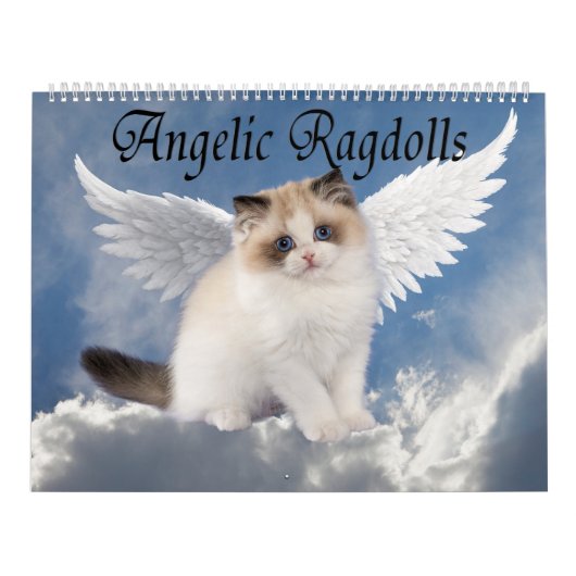 Engelhaft Ragdoll Katzen Kalender (Titelbild)