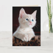 Engelkätzchen-Grußkarte Karte (Vorderseite)