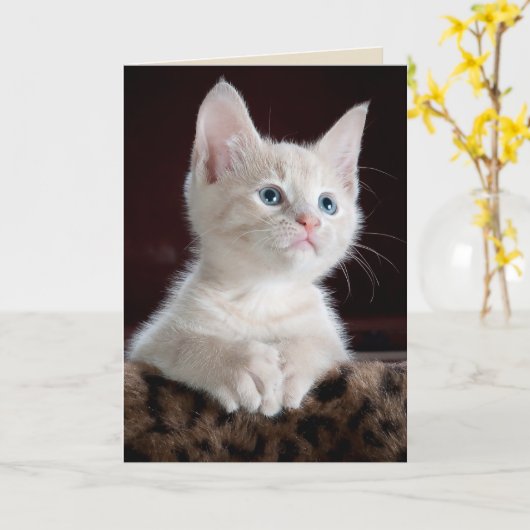 Engelkätzchen-Grußkarte Karte (Gelbe Blume)