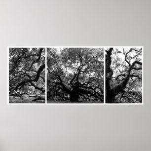 Engels-Baum-Collage Poster