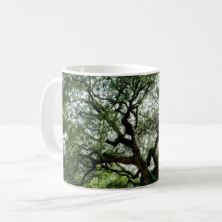 Engels-Eiche, Johns Insel, Sc Kaffeetasse