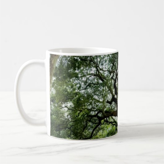 Engels-Eiche, Johns Insel, Sc Kaffeetasse (Links)