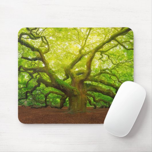 Engels-Eiche Mousepad (Mit Mouse)