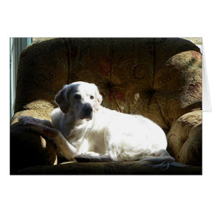 Engels-englischer Setzer