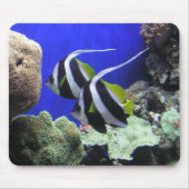 Engels-Fische Mousepad (Vorne)