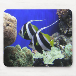 Engels-Fische Mousepad