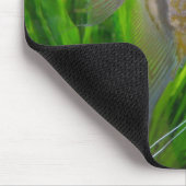 Engels-Fische Mousepad (Ecke)