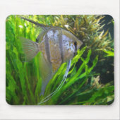 Engels-Fische Mousepad (Vorne)