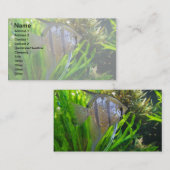 Engels-Fische Visitenkarte (Vorne/Hinten)