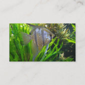 Engels-Fische Visitenkarte (Rückseite)