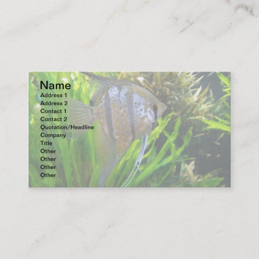 Engels-Fische Visitenkarte (Vorderseite)