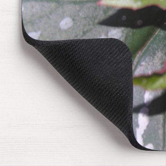 Engels-Flügel-Begonien Mousepad (Ecke)