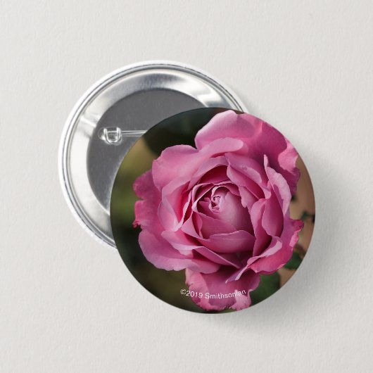 Engels-Gesichts-Rose Button (Vorne & Hinten)