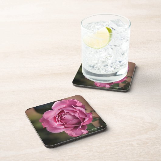 Engels-Gesichts-Rose Getränkeuntersetzer (Rechte Seite)