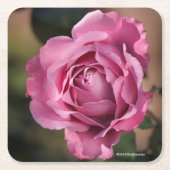 Engels-Gesichts-Rose Rechteckiger Pappuntersetzer (Vorderseite)