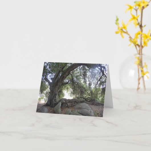 Engels-Lichter Karte (Gelbe Blume)